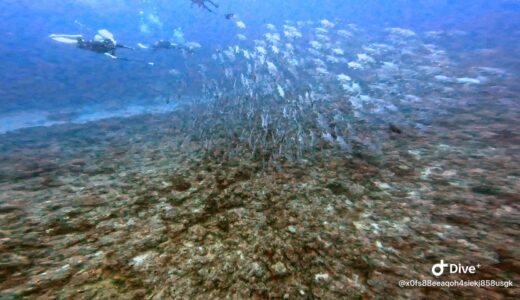 慶良間ドリフトツアーへ！波少し高いです・・・