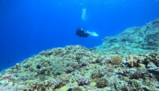 慶良間ドリフトダイビングへ！海が青い！