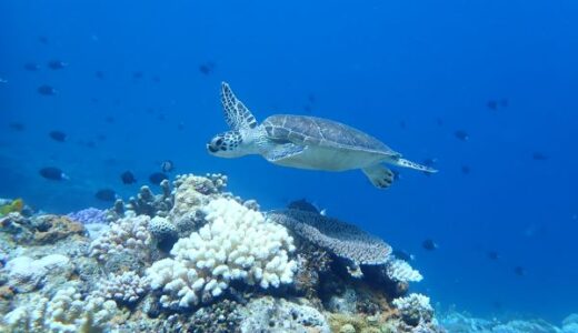 沖縄本島中部万座方面へ！鏡水面嬉しいね！