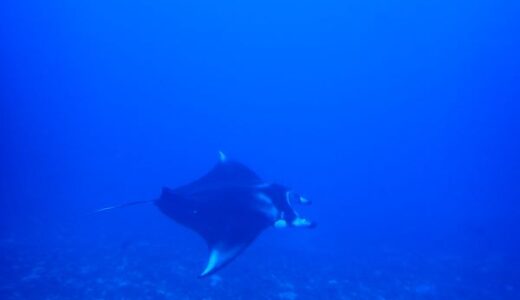 慶良間ドリフトツアーへ！低気圧来る前に駆け足でした。