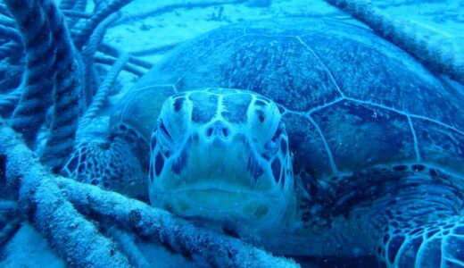 沖縄本島中部万座方面へ！うねりが・・・・