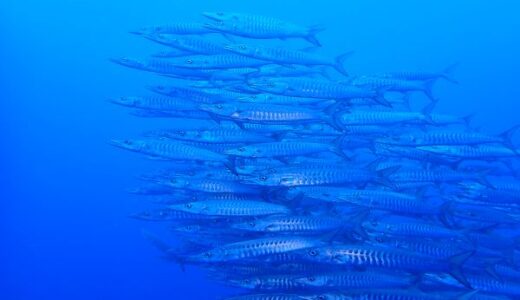 沖縄本島最強ポイントへ！色んな意味で最強！