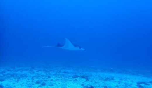 慶良間ドリフトツアーへ！嵐の前に・・