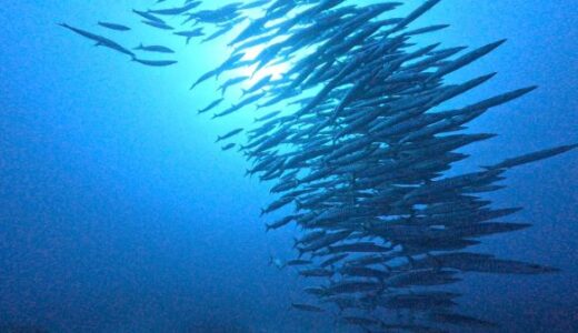 沖縄本島最強ポイントへ！良いコンディションです！