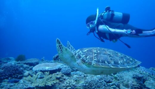 沖縄本島中部万座方面へ行って来ました！透明度綺麗！