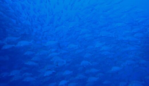 沖縄本島最強ポイントへ！まさに最強でした！