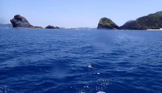 慶良間ダイビングに行って来ました！天気最高！