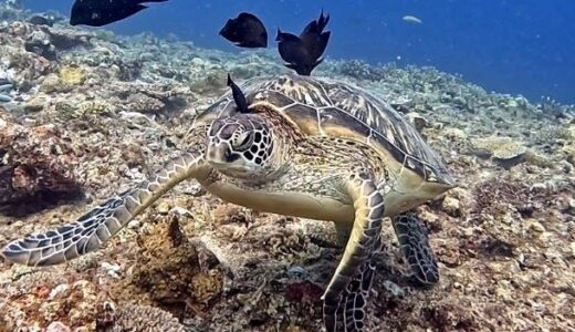 沖縄本島中部万座方面へ！嵐が来るぞ～～！